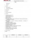 PLAN ANUAL DE SEGURIDAD Y SALUD EN EL TRABAJO.