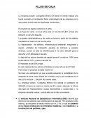 Flujo de caja privado