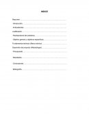 Precio y promoción La ALARMA 84A