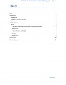 OPTIMIZACIÓN DE UTILIDADES USANDO EL SOFTWARE