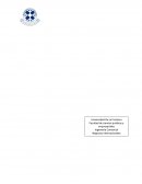 Indice Libertad política y económica Australia