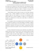 Dimensiones de lectura