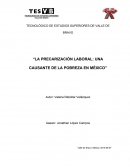 LA PRECARIZACIÓN LABORAL: UNA CAUSANTE DE LA POBREZA EN MÉXICO