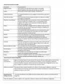 Accesorios de cámara de video