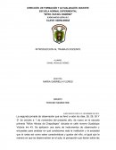 INFORME DE PRACTICA Plan de estudios