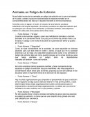 Animales en Peligro de Extinción 10 puntos que debemos cuidar