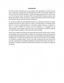 Tarea Organización Industrial MBA USM