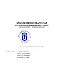 ADMINISTRACION Y NEGOCIOS GLOBALES PERU. Página 1