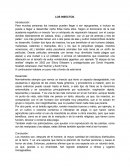 Ensayo "Insectos"