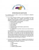 ESTRATEGIAS DE ADAPTACION.
