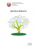 En la Universidad se están cometiendo toda una serie continuada de robos.