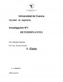 Determinantes Conocer la historia del algebra lineal y aprender a resolver determinantes y matrices por diferentes métodos