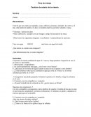 Guia de trabajo y sus Cambios de estado de la materia