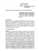 RECURSO DE APELACION DE PROCESO DE AMPARO