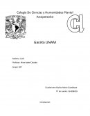 Gacetas resumenes latin