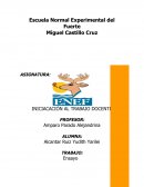 LA PRÁCTICA UN MÉTODO DE APRENDIZAJE