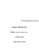 DERECHO PROCESAL CIVIL Proceso y juicio