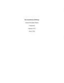 Reconocimiento del Riesgo Ergonomía