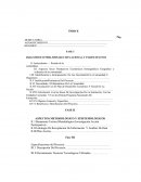 DIAGNÓSTICO PRELIMINAR O SITUACIONAL Y PARTICIPATIVO