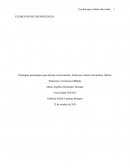 Elementos de neurociencia