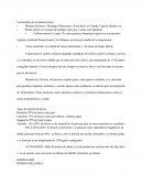 Los Yacimientos de materia prima