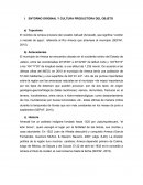 ENTORNO ORIGINAL Y CULTURA PRODUCTORA DEL OBJETO