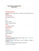 Cambio físico y cambio químico