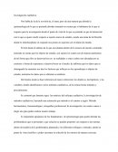 Investigación cualitativa y la epistemología