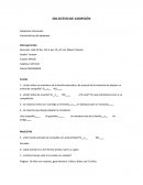 Fomato de solicitud de adopcion perrito