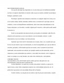 MULTIDIMESNSIONALIDAD