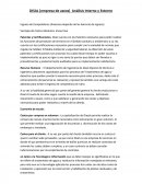 Análisis Estratégico Empresa Disal