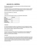 Analisis de la empresa parcial