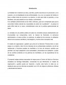 Sistemas computacionales y su Introducción