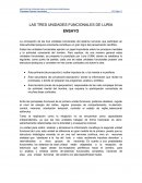 LAS TRES UNIDADES FUNCIONALES DE LURIA