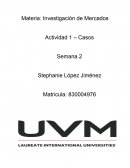 Materia: Investigación de Mercados Actividad 1 – Casos
