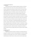 Filosofía. CONCEPCIONES FILOSOFICAS