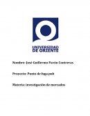 Punto de fuga pub Materia: investigación de mercados