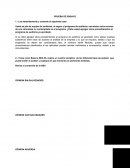 Ensayo auditoria caso