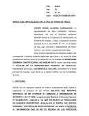 Demanda SEÑOR JUEZ ESPECIALIZADO EN LO CIVIL DE TURNO DE PASCO