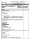 PLANIFICACIÓN DE ACTIVIDADES EDUCATIVA Y DE OBSERVACION DE RESULTADOS - CNH