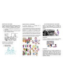 PROGRAMA PARA EL DESARROLLO DEL PROCESO DE VALORACIÓN. Página 1