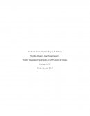 Fundamentos de la Prevención de Riesgos.Análisis Seguro de Trabajo