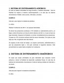 SISTEMA DE ENTRENAMIENTO AERÓBICO