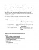 Explica porque el capitalismo y el neoliberalismo derivan en la globalización