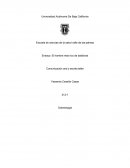 Odontología EL HOMBRE MÁS RICO DE BABILONIA