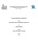 ESTRATEGIAS PARA UN APRENDIZAJE SIGNIFICATIVO ¿CÓMO APRENDO?