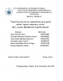 Identificación de los componentes de la pared celular: lignina, suberina y cutina