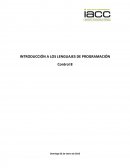 INTRODUCCIÓN A LOS LENGUAJES DE PROGRAMACIÓN.