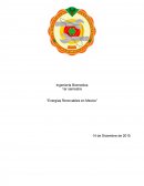 Anteproyecto Energias Renovables en Mexico