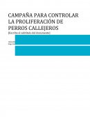 CAMPAÑA PARA CONTROLAR LA PROLIFERCION DE PERROS CALLEJEROS